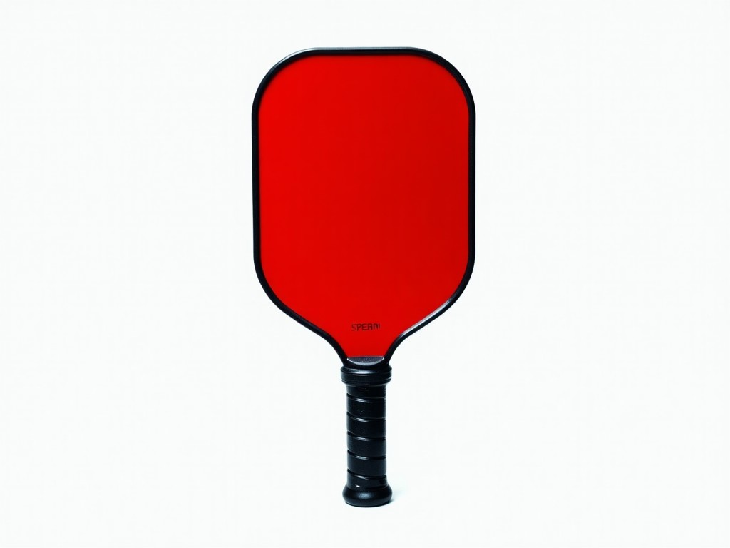 Best Price Pickleball Paddles For Intermediate Players Supplier
